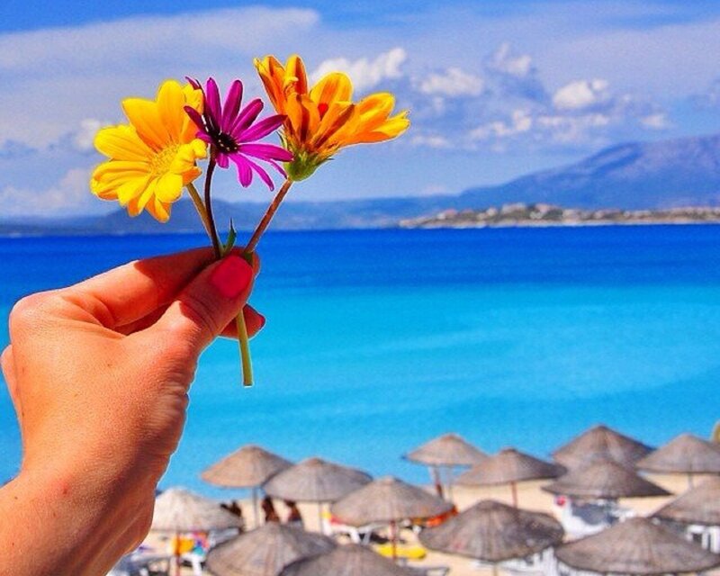 Hand Holding Flowers — Blue, Serene
