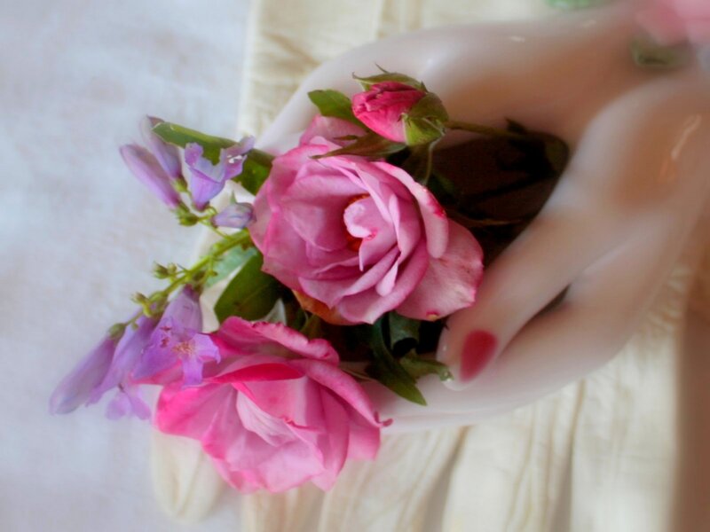Hand Holding Flowers — Pink, Calm