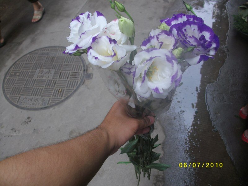 Hand Holding Flowers — White