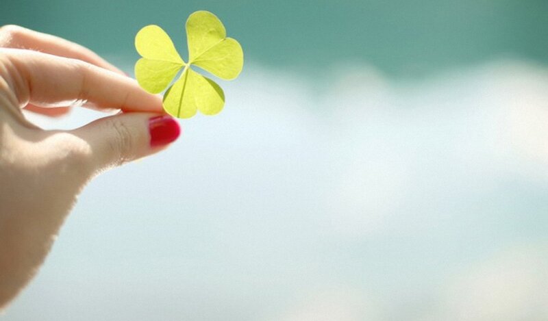 hand holding four leaf clover