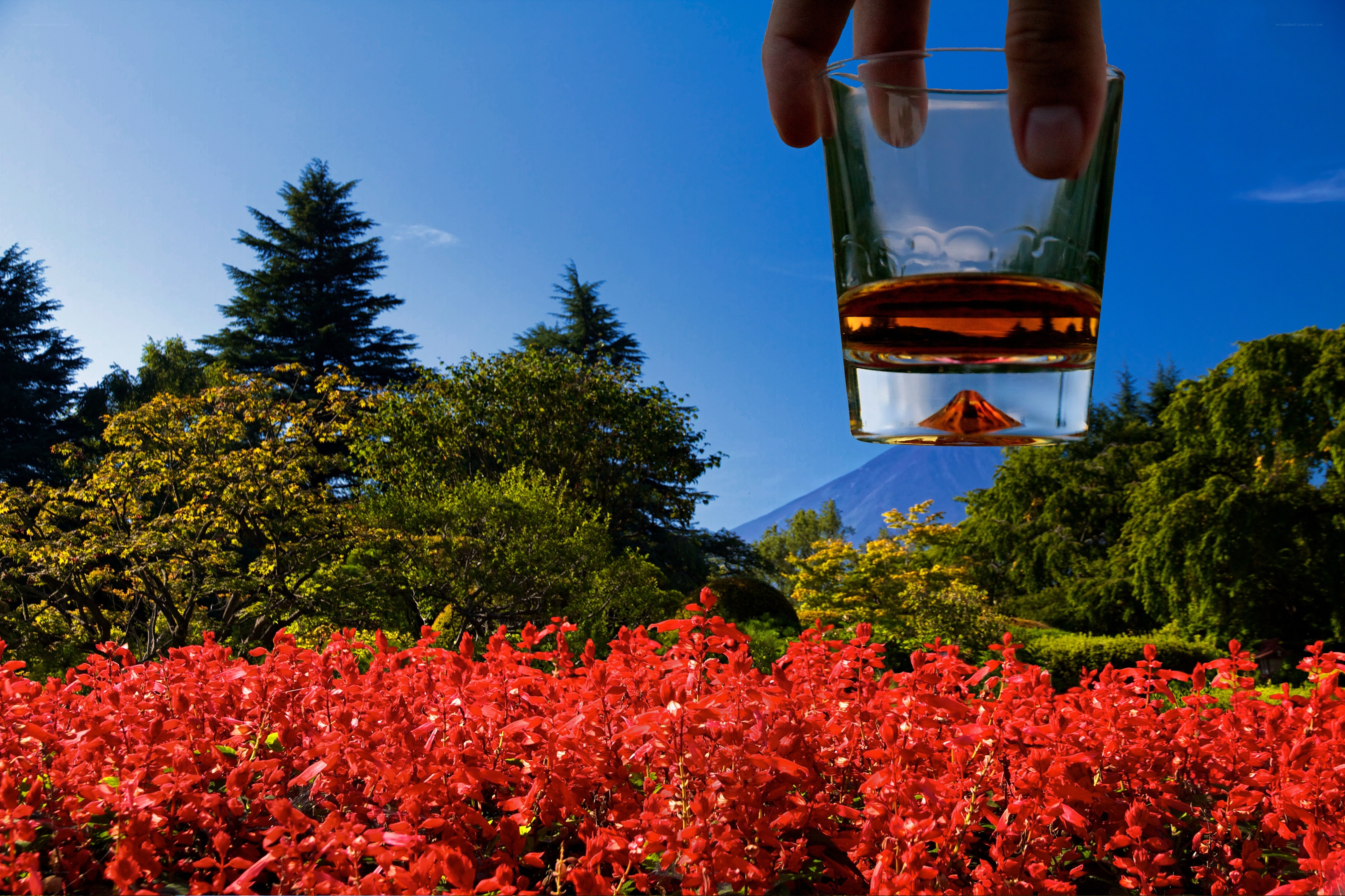 Hand holding glass with mountain reflection