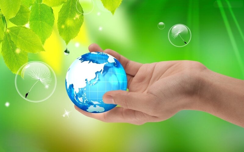 Hand Holding Globe — Green