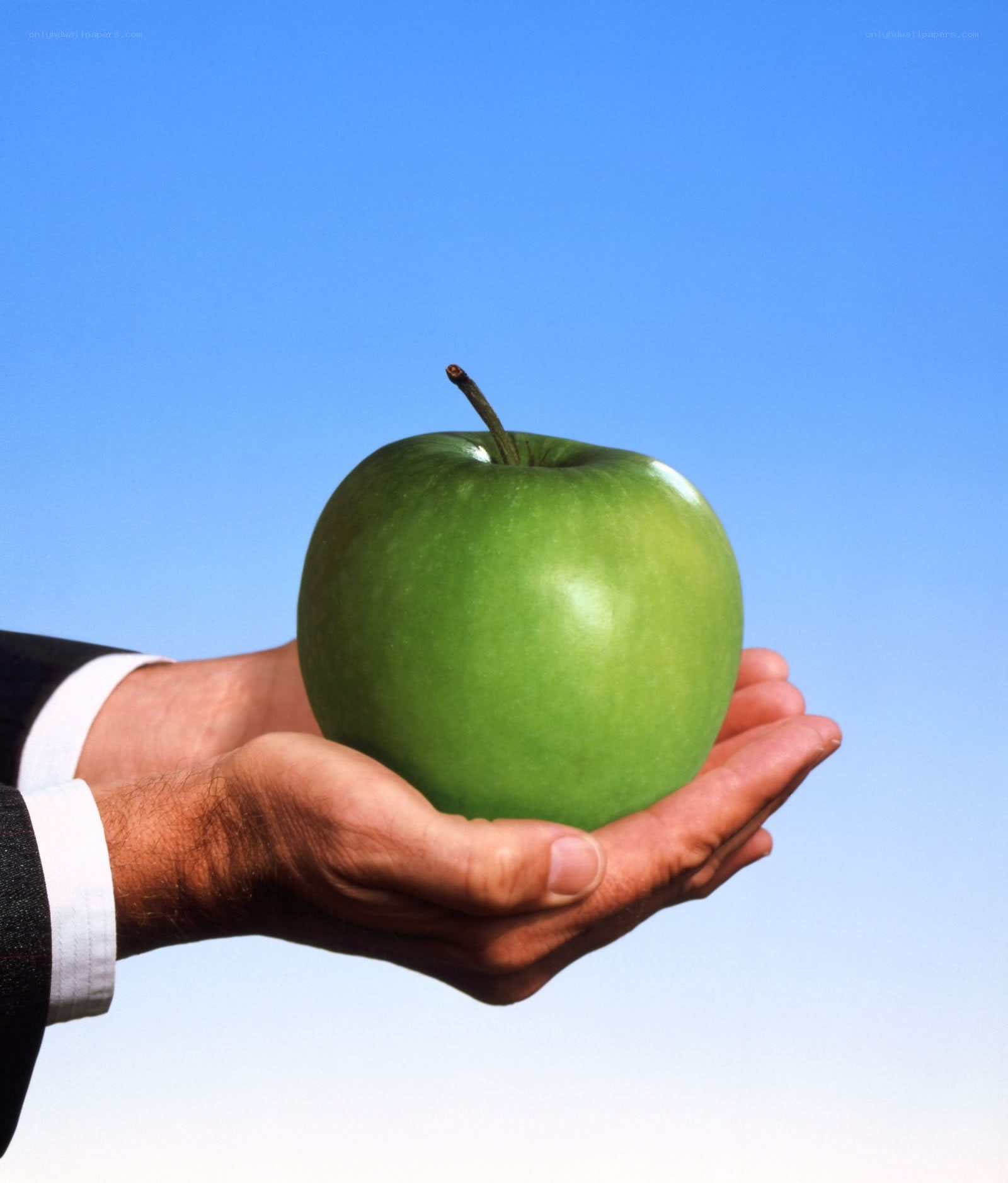 hand holding green apple