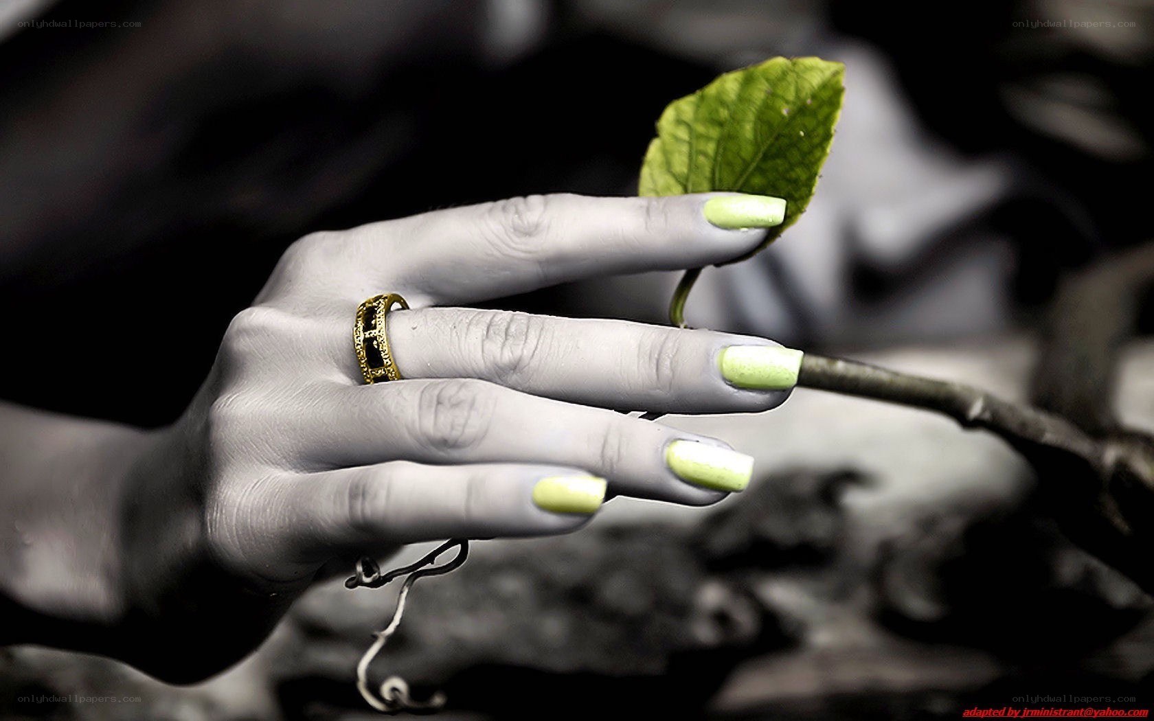 hand holding green leaf