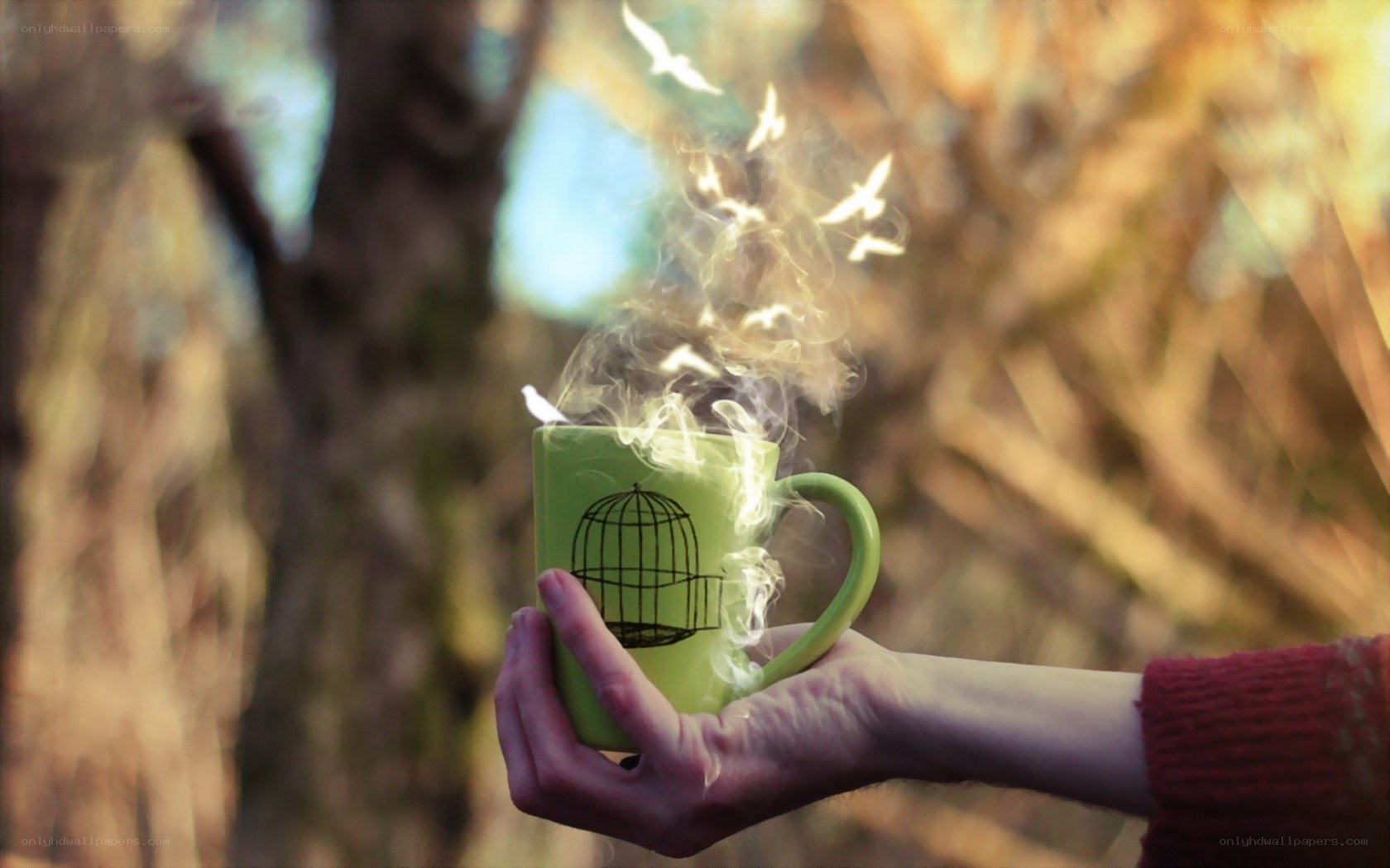 Hand holding green mug with birds