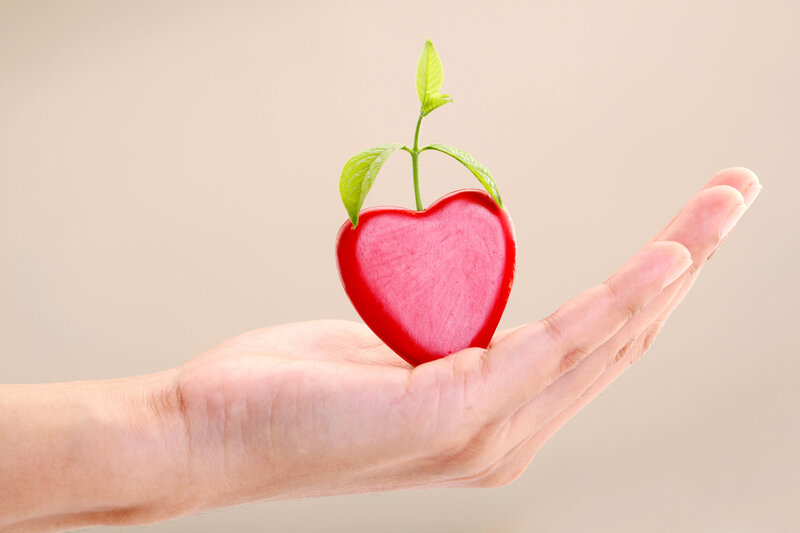 Hand Holding Heart Shape — Red