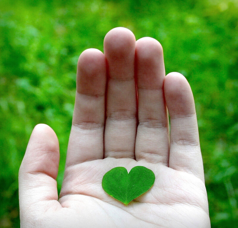 Hand Holding Heart-shaped Leaf