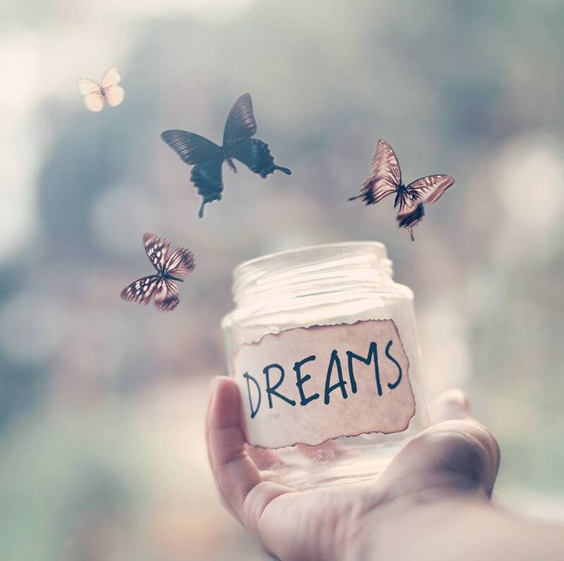Hand Holding Jar with Butterflies