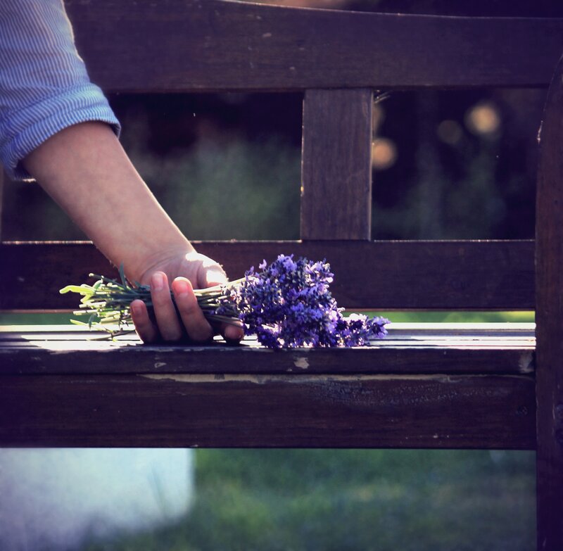 Hand Holding Lavender