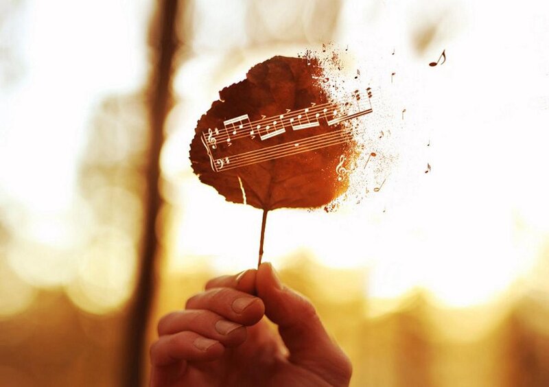 Hand Holding Leaf — Brown