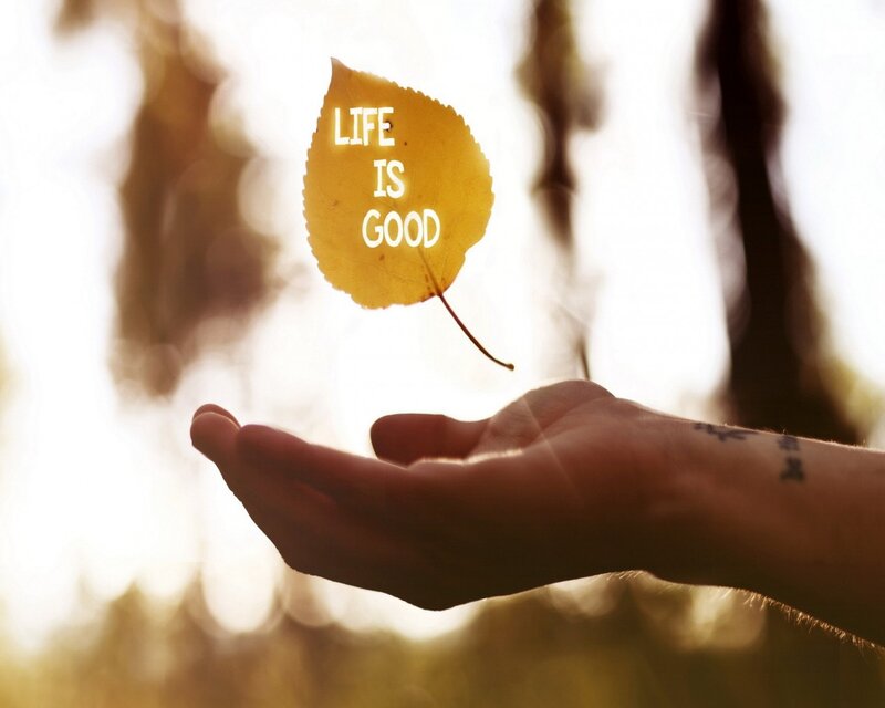 Hand Holding Leaf — Yellow, Serene, Autumn