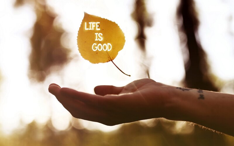 Hand Holding Leaf — Yellow, Serene