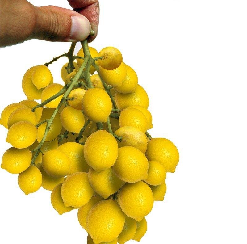 Hand Holding Lemons
