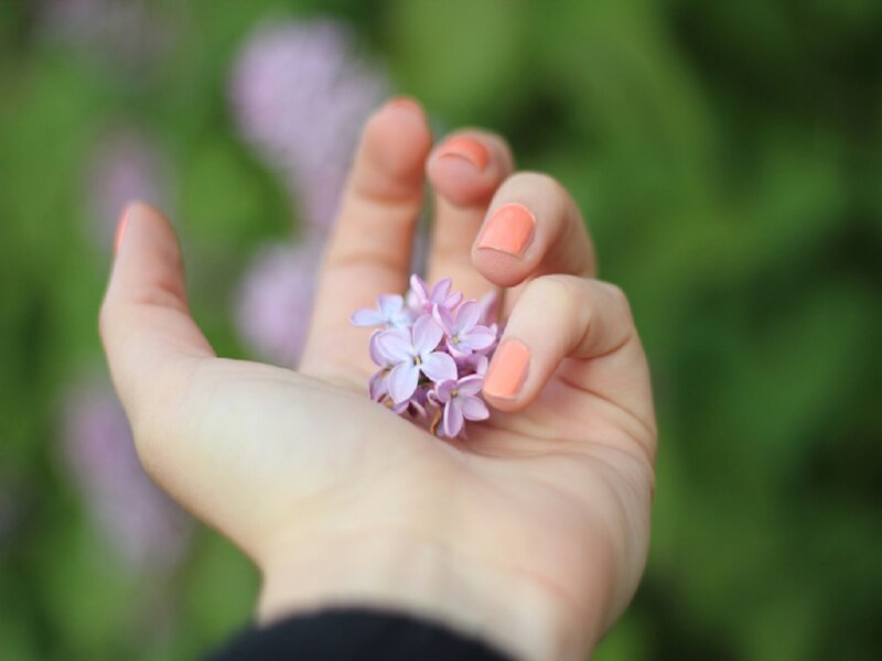 Hand Holding Lilac Flowers