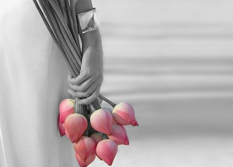 Hand Holding Lotus Flowers