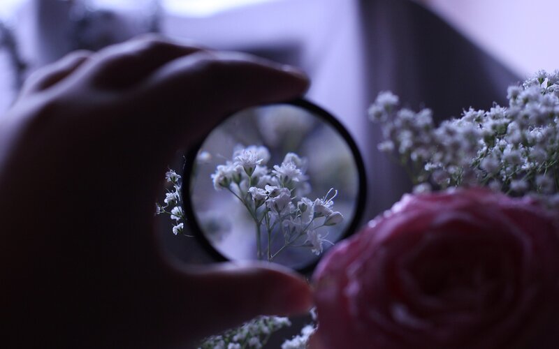 Hand holding magnifying glass over flowers