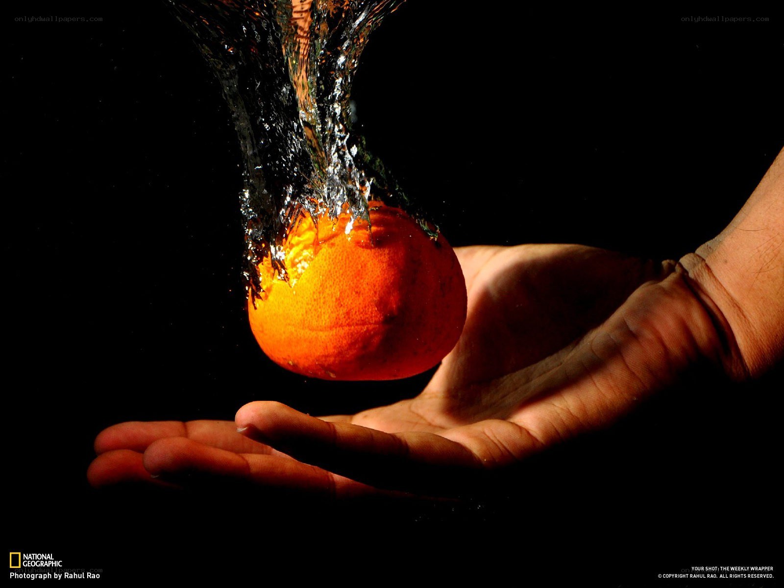 hand holding orange under water