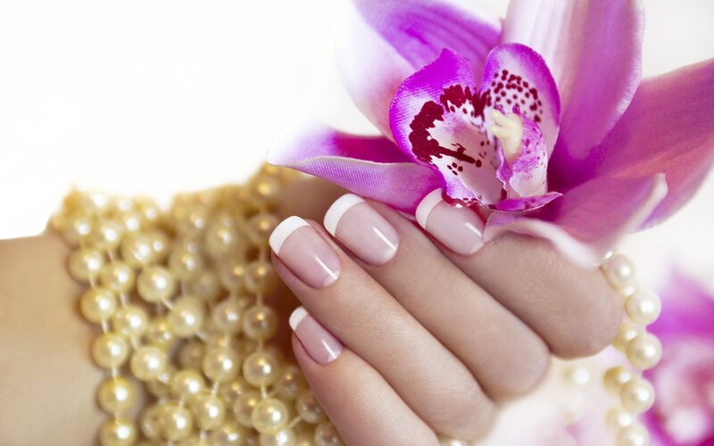 Hand Holding Orchid Flower