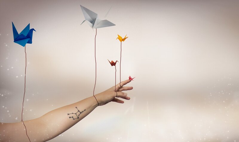 Hand Holding Origami Birds