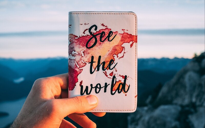 Hand Holding Passport