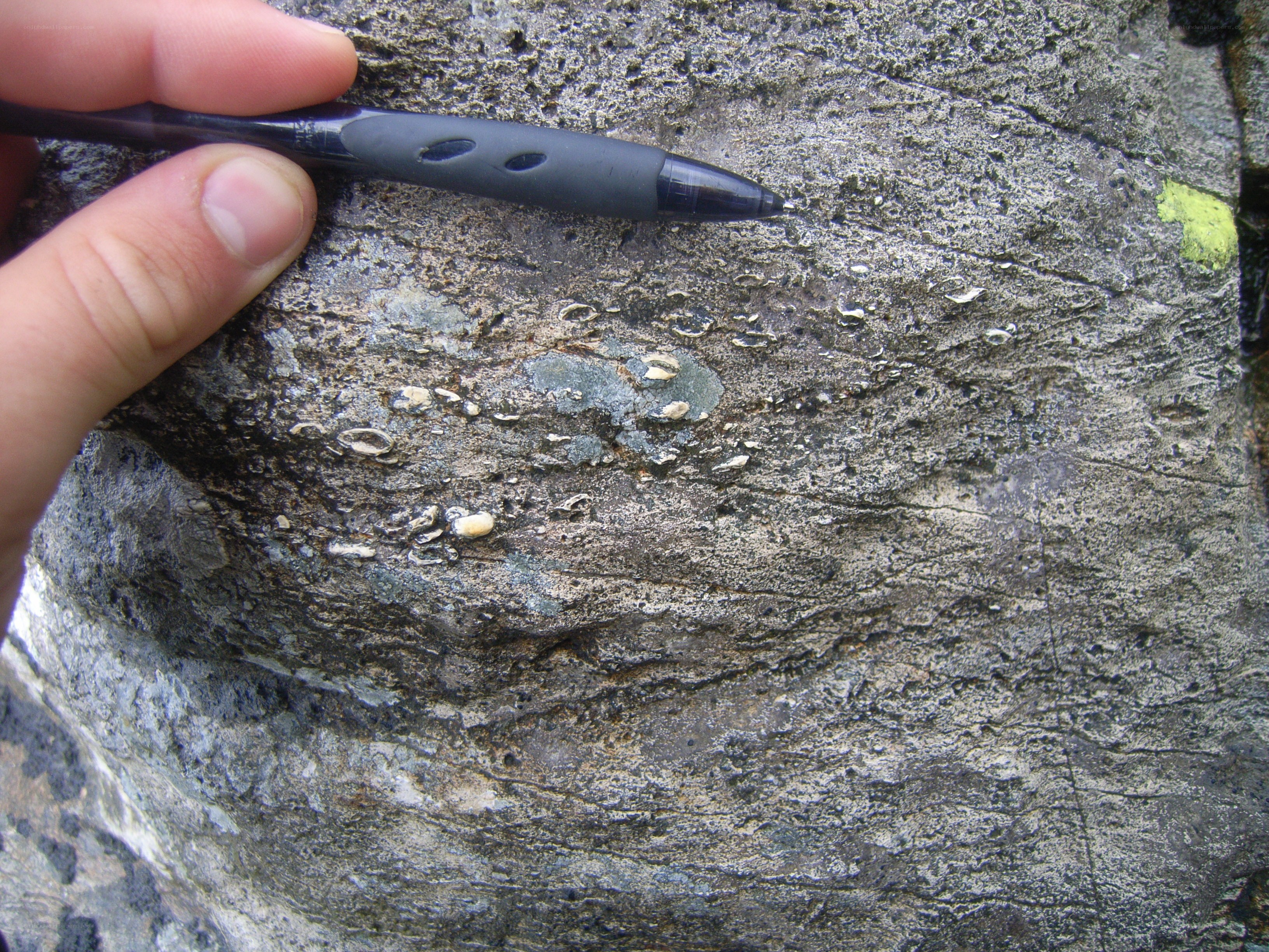 hand holding pen on rock surface