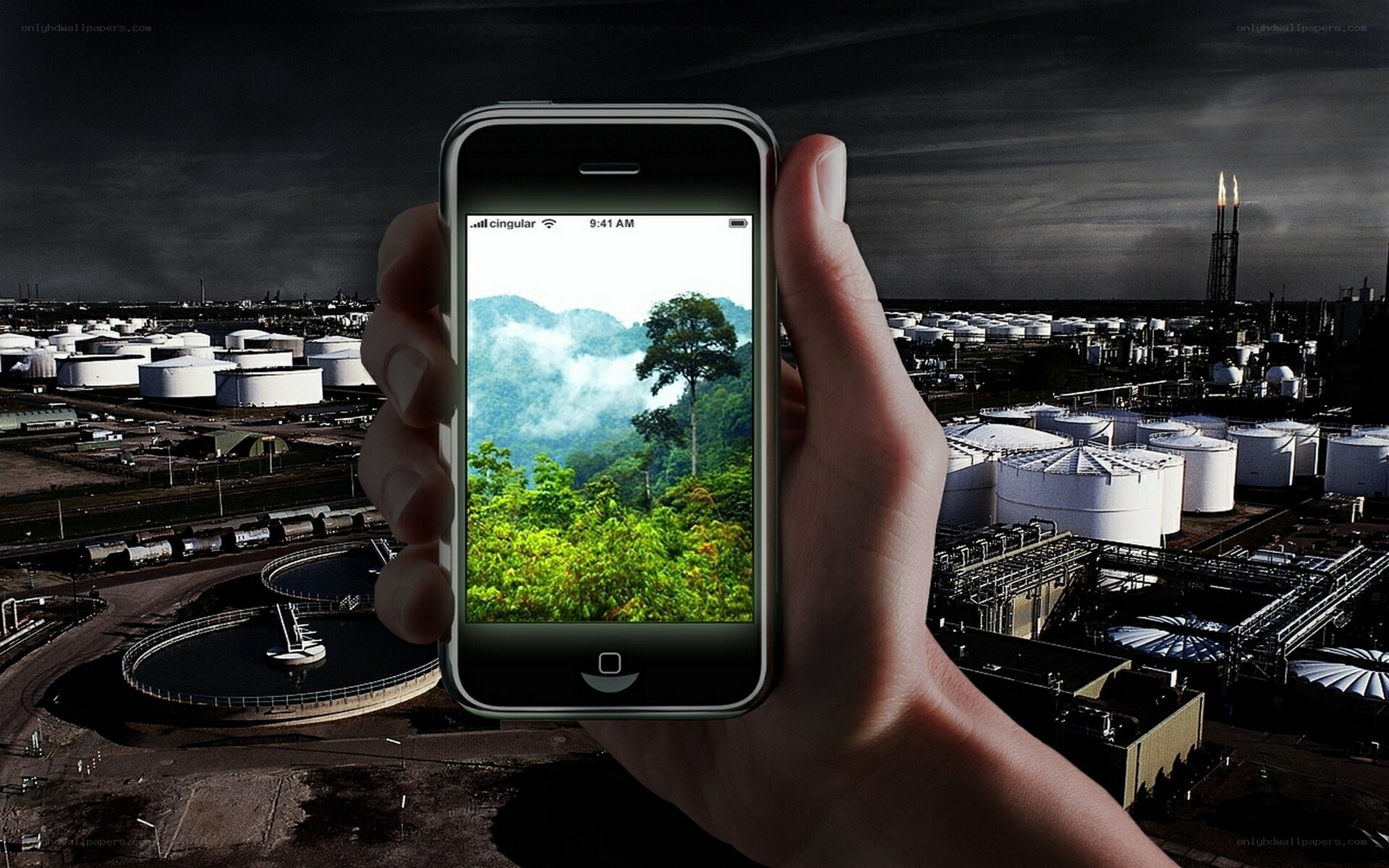 Hand holding phone with nature image