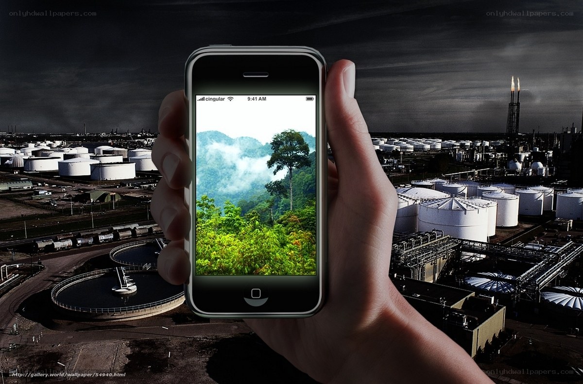 Hand holding phone with nature image