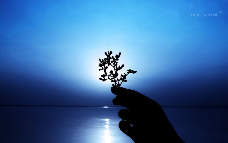 Hand Holding Plant Silhouette