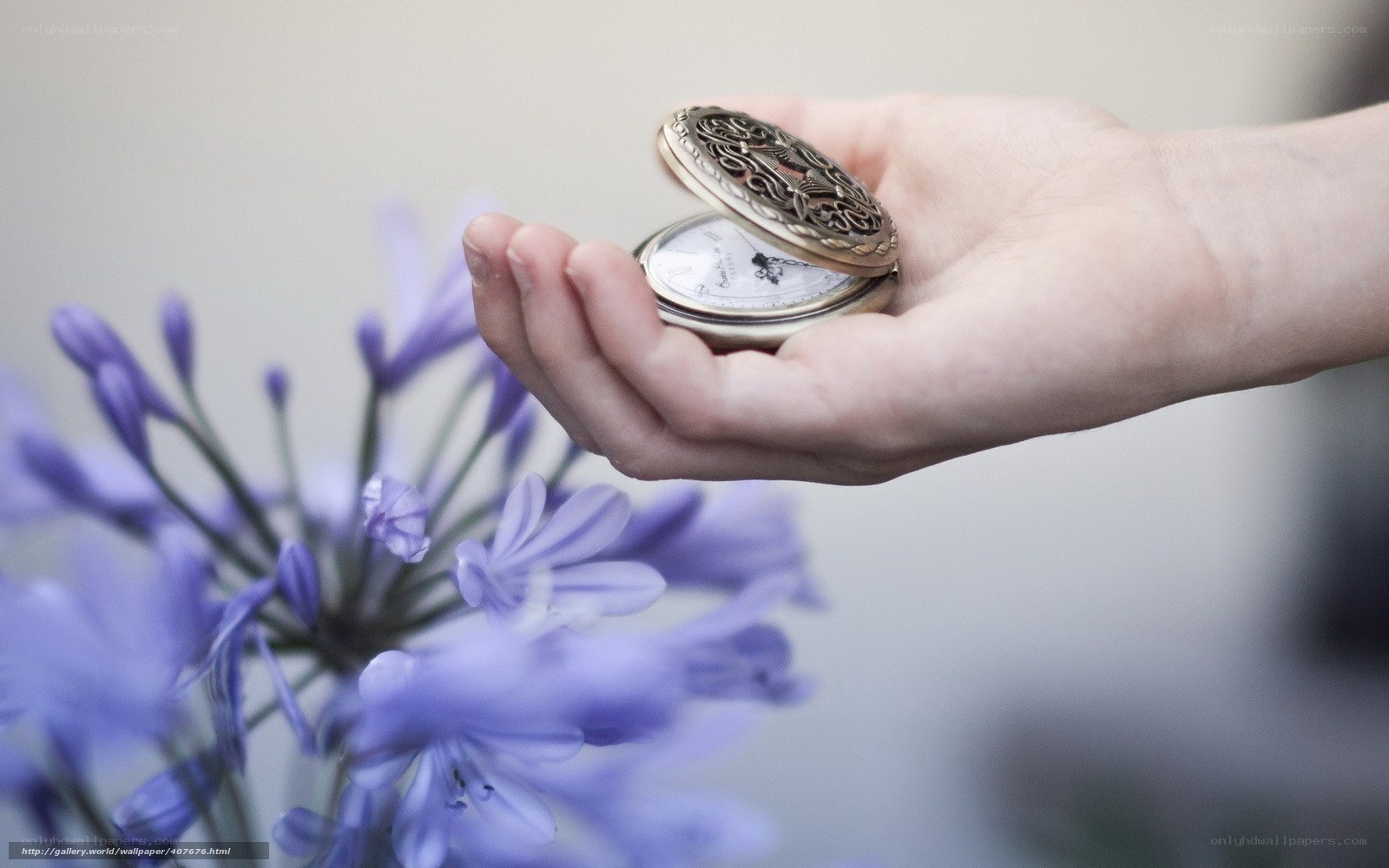 hand holding pocket watch