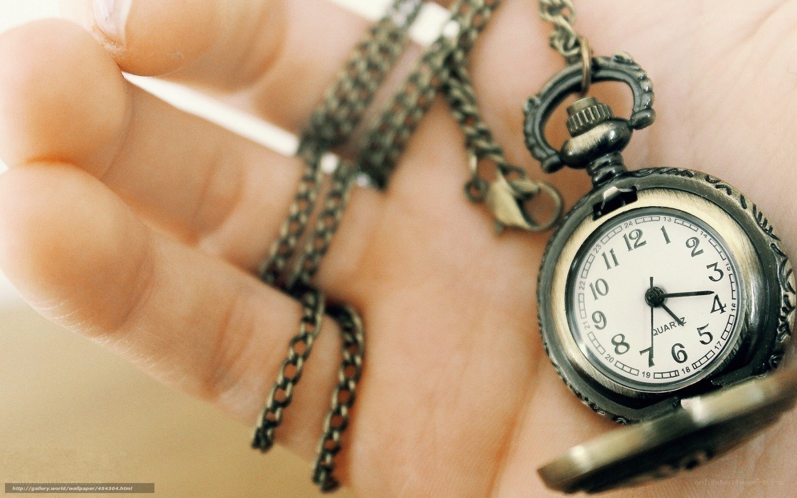 hand holding pocket watch