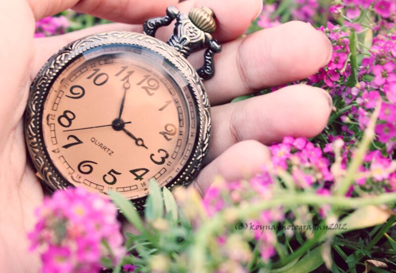 Hand Holding Pocket Watch — Pink