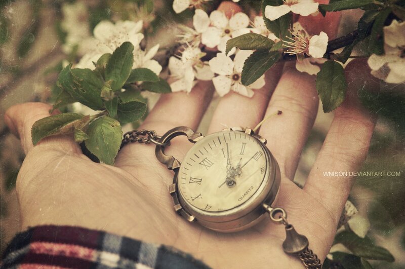 Hand Holding Pocket Watch — White, Serene