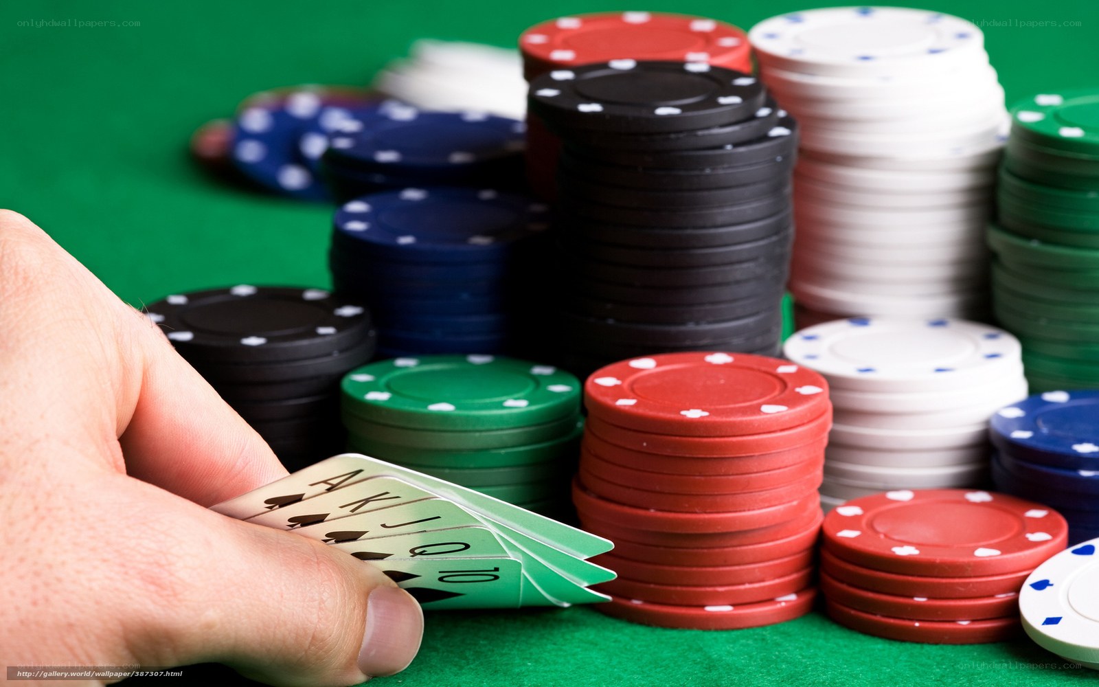 hand holding poker cards