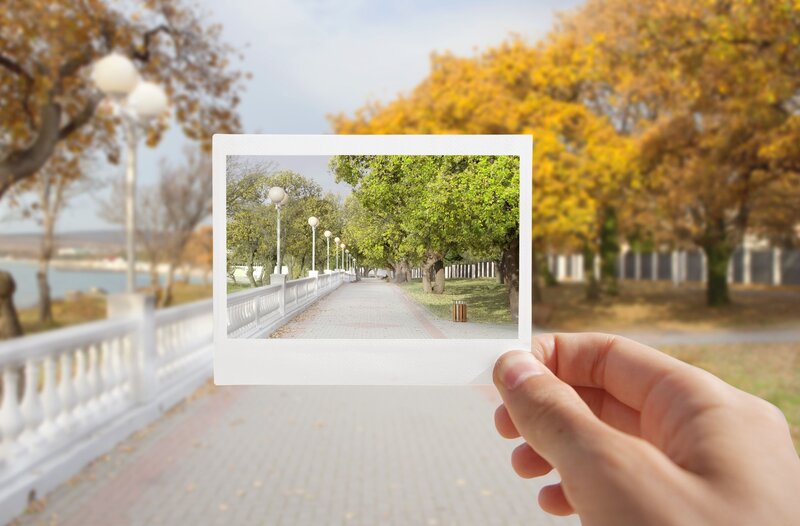 Hand Holding Polaroid Photo
