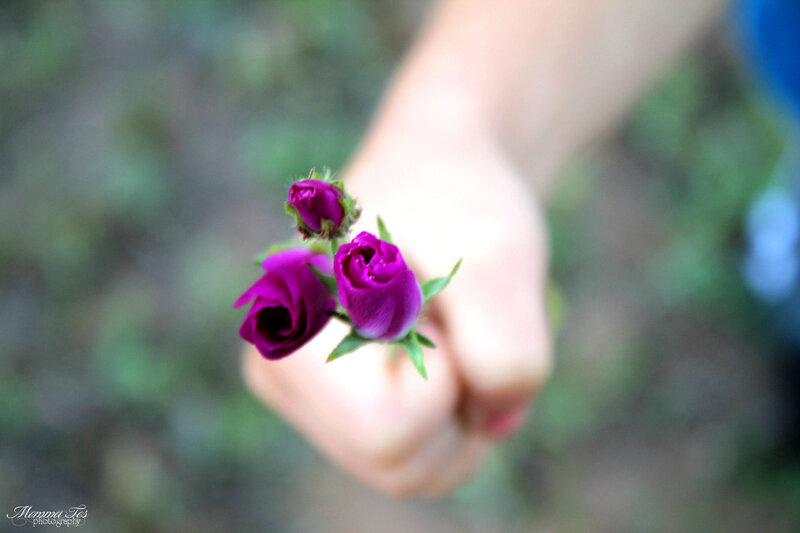 Hand Holding Purple Buds