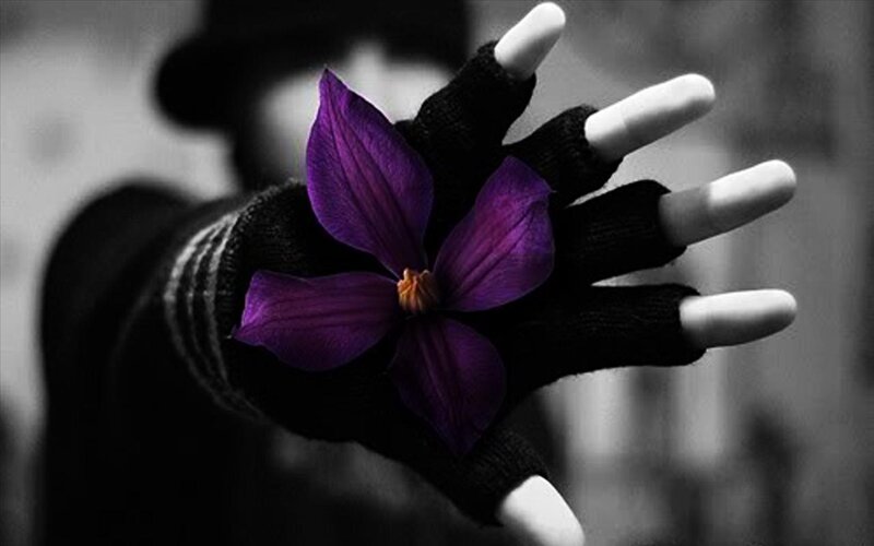 Hand Holding Purple Flower