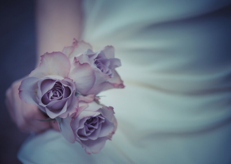 Hand Holding Purple Roses
