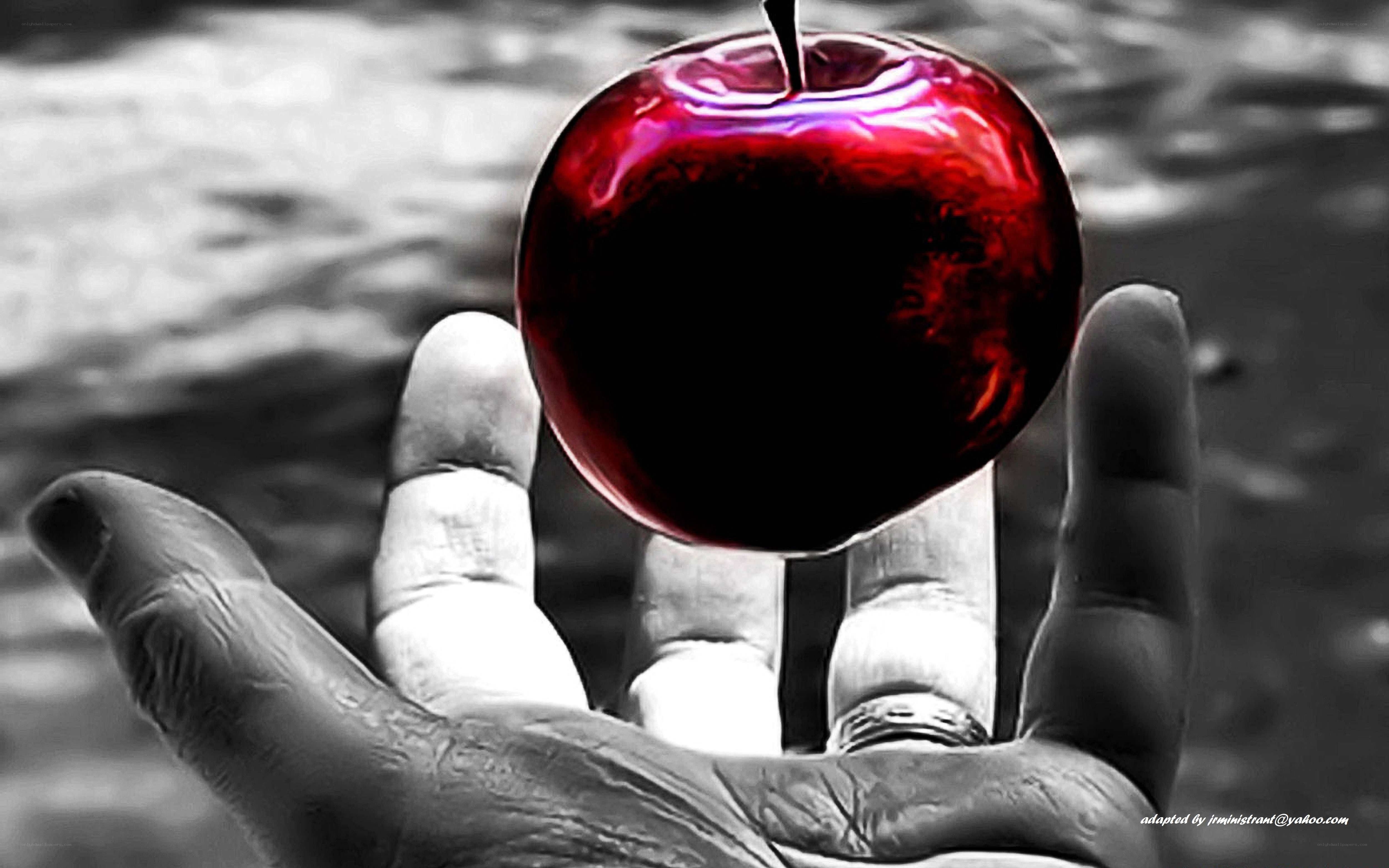 Hand holding red apple