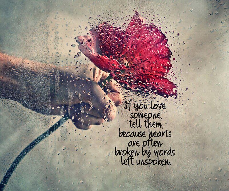 Hand Holding Red Flower — Melancholic