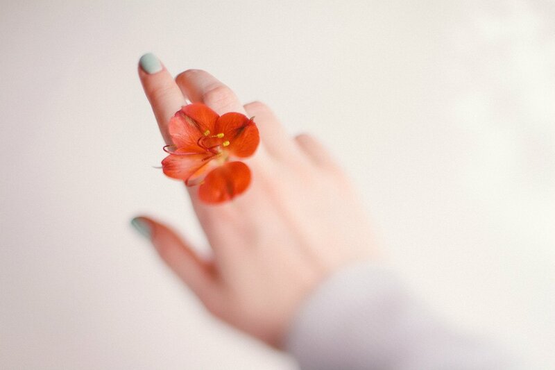 Hand Holding Red Flower — Serene