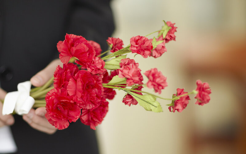Hand Holding Red Flowers