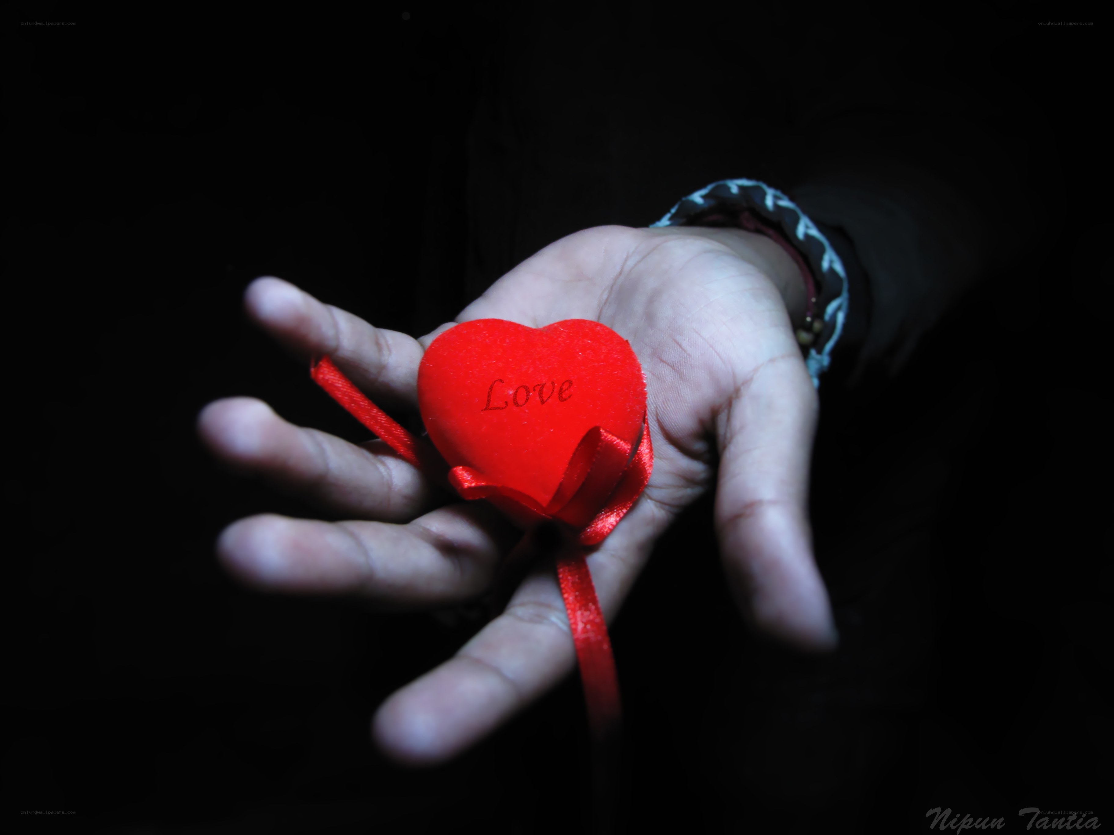 hand holding red heart