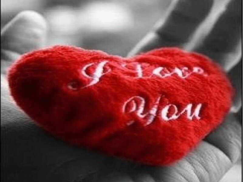 hand holding red heart