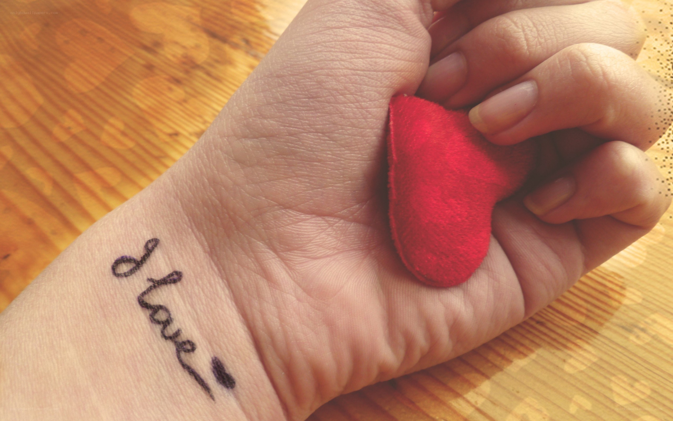 hand holding red heart