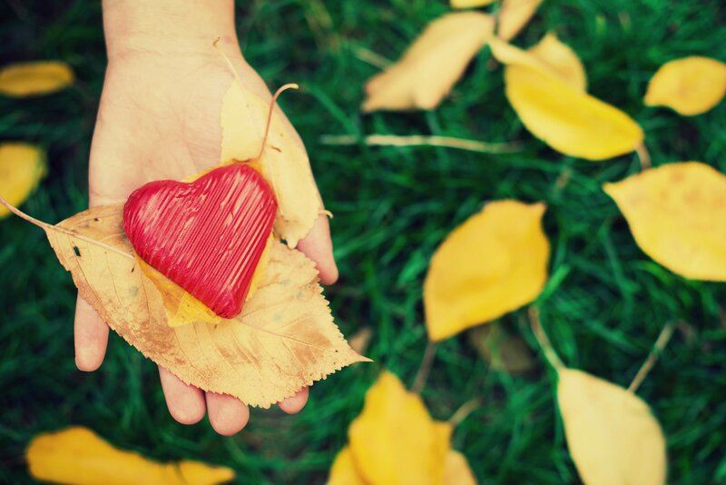 Hand Holding Red Heart — Calm, Autumn