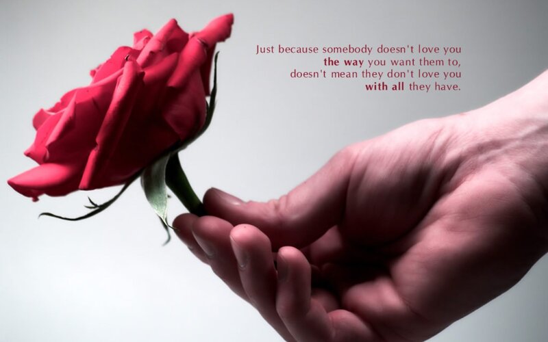 hand holding red rose