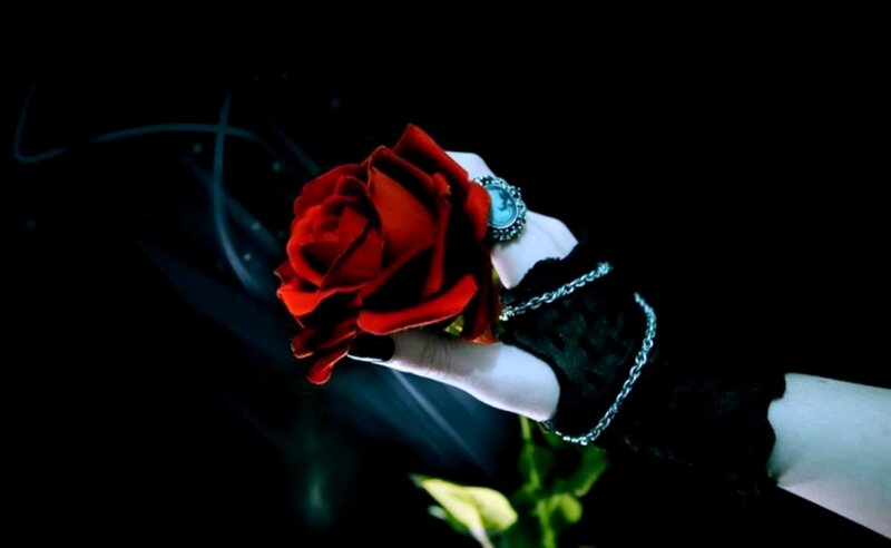 Hand Holding Red Rose — Black, Dramatic, Night, Photograph, Glove, Ring