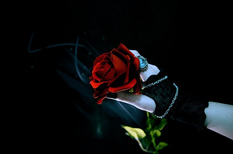 Hand Holding Red Rose — Black, Dramatic, Night, Photograph, Glove