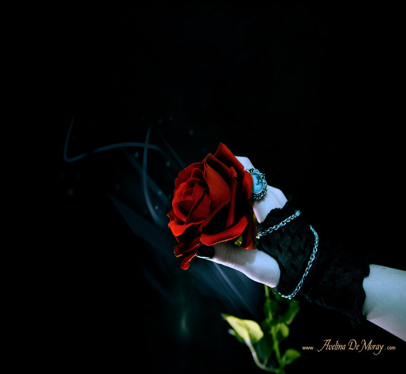 Hand Holding Red Rose — Black, Dramatic, Night, Photograph