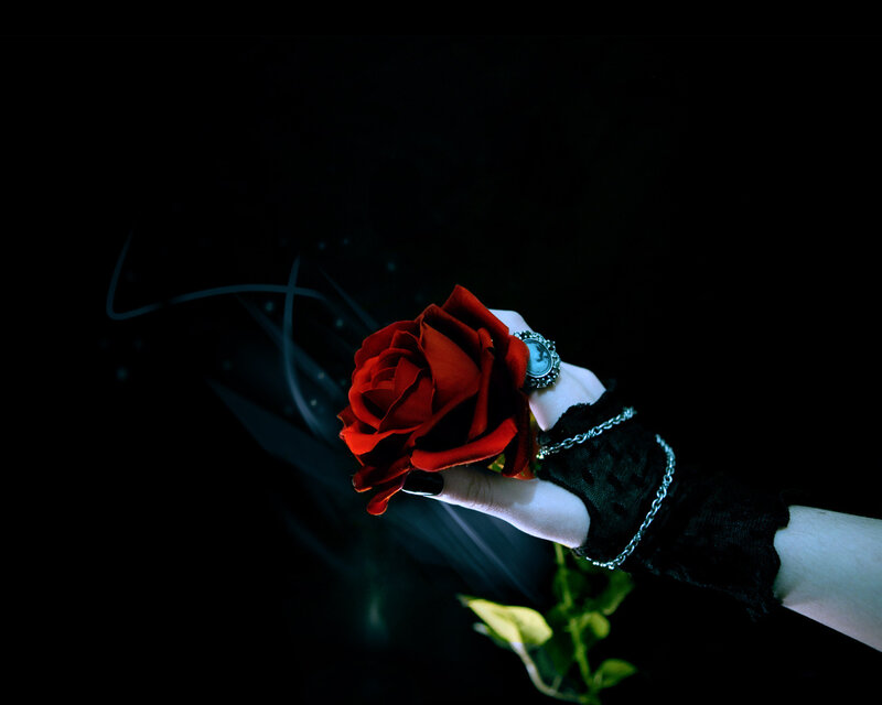 Hand Holding Red Rose — Black, Dramatic